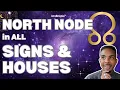 North Node Rahu in ALL SIGNS HOUSES Discover Your Destiny within Your Birth Chart