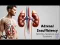 Adrenal Insufficiency Explained What You Need to Know