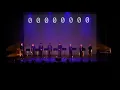 Parallel Voices