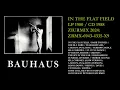 Lagu BAUHAUS IN THE FLAT FIELD / ZIURMIX