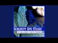 Spa Experience