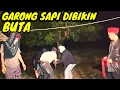 Download Lagu KANG SUHA RADEN BIMA GREBEK PREMAN MALING SAPI WARGA