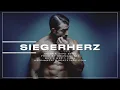 Metrickz Type Beat "SIEGERHERZ" | EMOTIONAL GUITAR TYPE BEAT (prod. KronaBeatz)