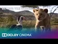 Download Lagu Behind the Scenes of The Lion King with Jon Favreau | Dolby Cinema | Dolby