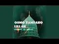 Download Lagu Ya Imama Rossli