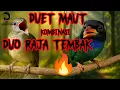 Download Lagu Suara Kombinasi Kapas Tembak \u0026 Tengkek Buto – Masteran Gacor Full Power 🔥