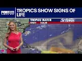Tropics show signs of life