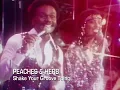 Peaches & Herb - Shake Your Groove Thing (1978)