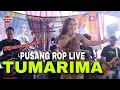 Download Lagu Tumarima - Ayu Rusdy Ft Devany | Pusang ROP Live