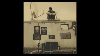                            بيجاد    حياة الفنان                  دندنها
