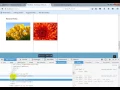 WordPress theme Development Class 6 part 1
