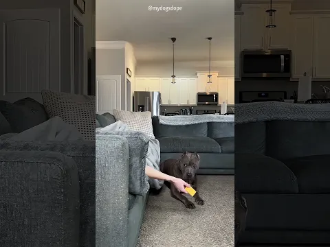 ايهما اكثر وفاء لصاحبته؟ 😱