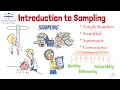 Introduction to Sampling 4 Types of Sampling Method From A Business Professor