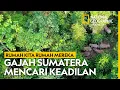 Download Lagu RUMAH KITA RUMAH MEREKA: Harmonisasi Manusia Dan Alam - National Geographic Indonesia