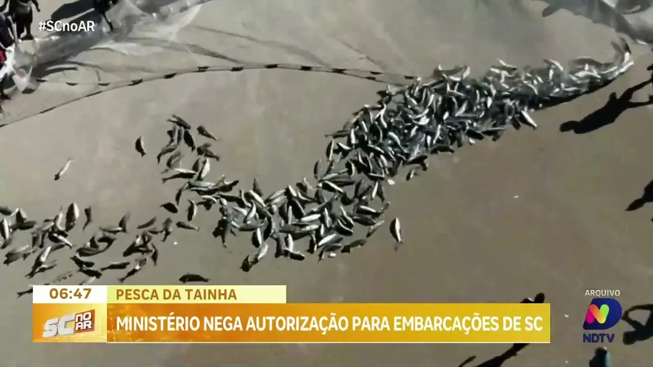 Embarcações catarinenses são excluídas da autorização para Pesca da Tainha