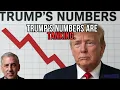 Download Lagu TRUMPS RESULTATEN DALEN. BEDANKT VOOR UW AANDACHT. | That Trippi Show