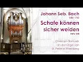 Download Lagu Johann Seb. Bach (1685-1750)  | Schafe können sicher weiden  |  BWV 208