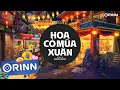 Lagu Hoa Cỏ Mùa Xuân Remix - Shay N x Orinn | Và Mùa Xuân Biết Em Đã Mang Một Mối Tình Remix Xuân 2024
