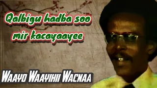 Maxamed Saleebaan Tubeec Iyo Heesta WANAAG I XIGSII WAXYEELADA CIIL 