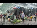 Download Lagu EXTREME WEATHER: Heavy rain and strong winds in rural Indonesia | Overcome insomnia