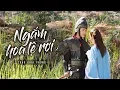 Download Lagu Ngắm Hoa Lệ Rơi - Châu Khải Phong | Official Music Video