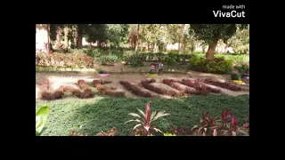 محمود محسب    بلد الهوا دى بلدى عشق و دوا دى بلدى حلوه يا اسوان بلدنا جميله يا نبع النخيل دندنها