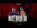 Download Lagu Haye Mera Dil (Bohemia Non-Stop Megamix) | Bohemia ft. Alfaaz | Prod. By AWAID | Roo Roo Ke Arza