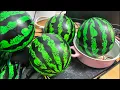 Bola semangka 🍉 Kamis pagi 😁