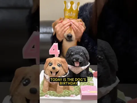 This Dog Will Never Forget Its Best Friend
