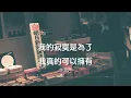『致敬經典』林慧萍（LIN HUI PING）-我真的可以擁有（WO ZHEN DE KE YI YONG YOU）【願將我的一生，整個輸給了你。】#華語熱門 #華語經典歌曲 #中文音樂 #經典歌曲
