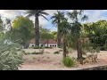 Download Lagu Algazellen ontdekken hun nieuwe veld in ARTIS