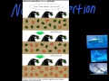 Natural Selection vs Artificial Selection