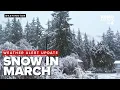 WX alert Western Washington gets rare March snow I-90 closures