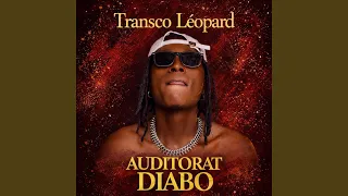 auditorat diabo