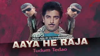 tudum tedao mithun raja instrument remix song aaya he raja hindi remix song