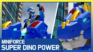 New Super Start With The Super Dinos 🦖 Best Episodes of Miniforce Dino Super Power: Dino Rangers