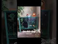 Spongebob Dresser
