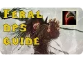 6 2 Feral Druid PvE DPS Guide