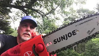 SUN JOE Red Electric Pole Chain Saw - Setup Demo