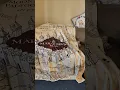 Harry potter throw blanket