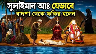 হযরত সোলায়মান আঃ এর বিস্ময়কর জীবনী | নবী সোলায়মান আঃ এর কাহিনি | ইসলামিক কাহিনী | ইসলামিক ভিডিও