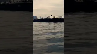 Traveling to New York with the Statue of Liberty Off the Bow[#Shorts]