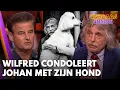 Download Lagu Wilfred Genee condoleert Johan Derksen met overlijden van zijn hond Cuby | VANDAAG INSIDE
