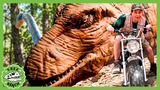 We Found a HUGE T-Rex!! | 90 Mins | 🦖🦕 T-Rex Ranch Dinosaur Videos
