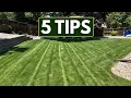 5 PRO Tips - Lawn Care Tips for Beginners