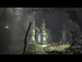Easy Skyrim Special Edition Gameplay Tutorial 275 Forelhost Refectory