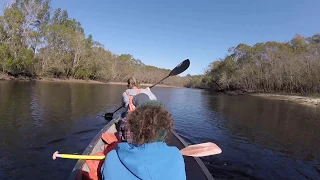 The Hairy Farmpit Girls and a Goat Named Blurt