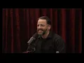 Joe Rogan Experience - Andrew Wilson
