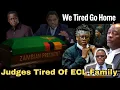 Download Lagu ECL Case~SA Court Tired of ECL Case, Judges Want Lungu Case to End