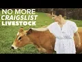 THIS IS WHY WE DON T BUY LIVESTOCK ON CRAIGSLIST
